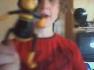 miel pops et les oofballs en **%or%**