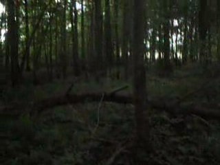 CRoss fôret avec Dartagnan