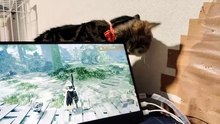 モバイルモニターに歯を当てる悪魔シフォン