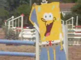 Concours du 27 juillet 008