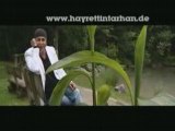Hayrettin Tarhan - Açma Bügün Perdeleri yepyeni klip 2008