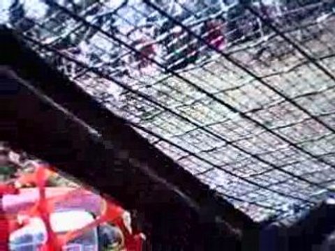 stock-car bertrix 02