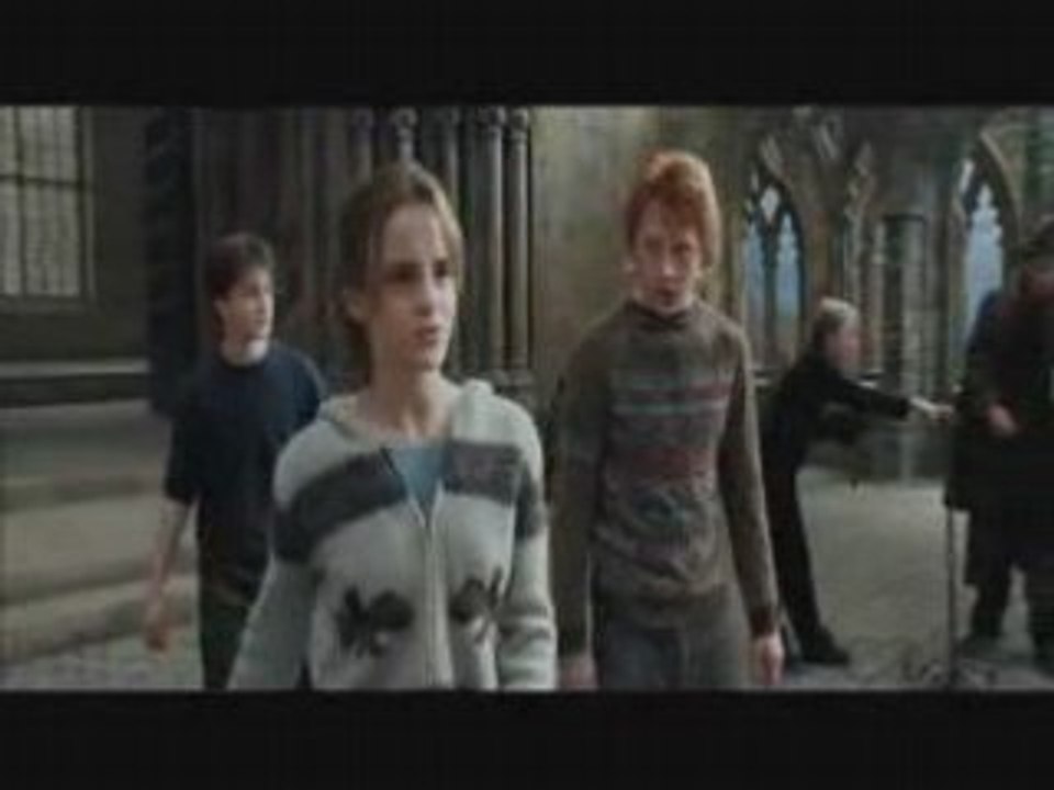 Ron & Hermione - L'affrontement