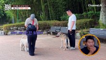 "내 힘을 봤느냐?" 강 훈련사가 알아챈 제니만의 독특한 소통법!?