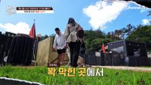 "이렇게까지 반긴다고?" 울프독 '제니'의 애교는 사실 경고 표시?