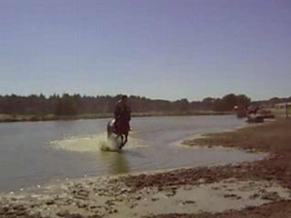 Galop dans la mare au canard championnats de france