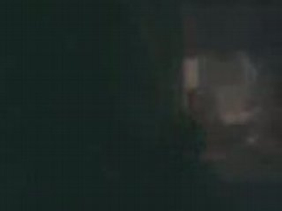 homme flamme(peuplier)