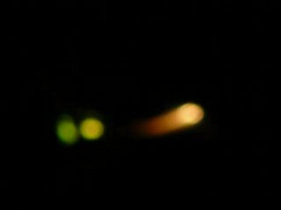 Ben tranquilles sur la plaine