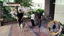낯선 사람을 봐도 얌전히 있는 '제니'?!