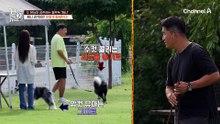 두 본능이 공존하는 울프독은 이렇게 통제한다!
