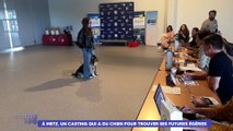 À metz un casting 