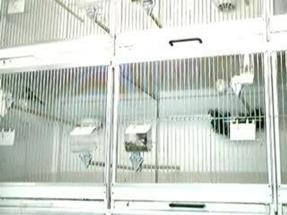 Video 4