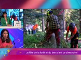 Retrouvez "7 &agrave; vous" avec Catherine Garnier et ses chroniqueurs pour les bons plans "sorties" lig&eacute;riens et des sujets qui parlent de vous. Zoom sur "La F&ecirc;te de la For&ecirc;t et du Bois" avec Fibois Loire