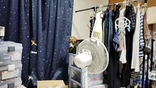ミアとじゃれあうシフォン
