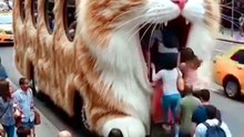 start the journey #cat #funny #viralshorts