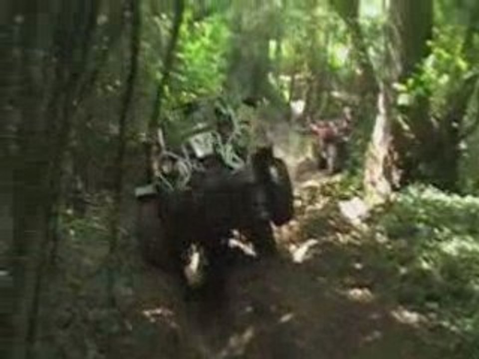 BPAF AG 2008