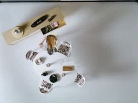 Kelebek Mobilya Reklam