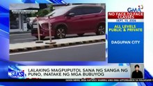 Lalaking magpuputol sana ng sanga ng puno, inatake ng mga bubuyog | Saksi