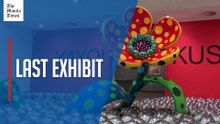 Amsterdam museum unveils Kusama show weeks after death