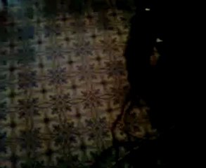 Pas de sons mais fun a regarder