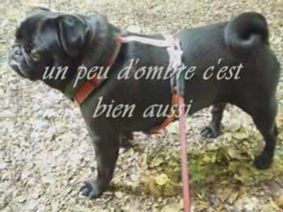 aprés la pluie le beau temps