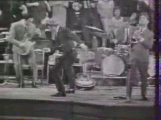 Halliday Johnny - Concert hollande-03