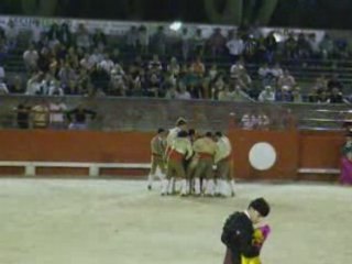 Corrida portugaise beaucaire 2008