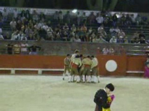 Corrida portugaise beaucaire 2008