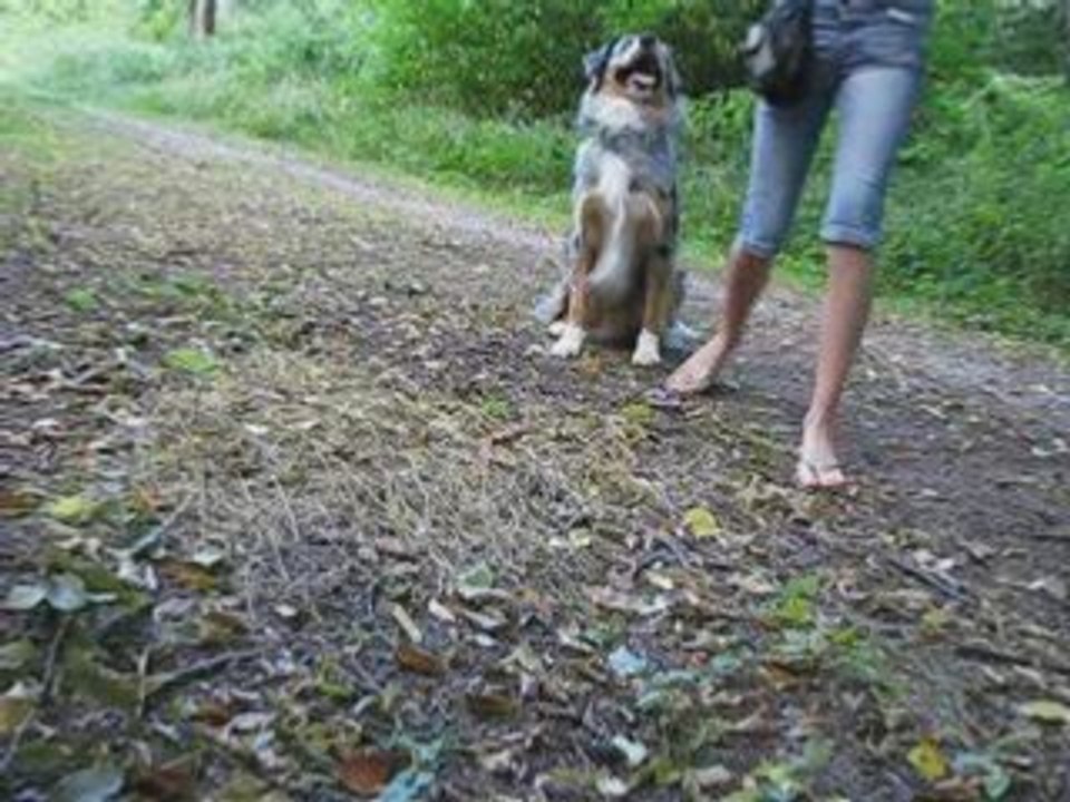 obr du 29 juillet 2008