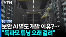 보안 AI 따로 만드는 이유는?..."독파모 보안 튜닝은 오래 걸려" / YTN