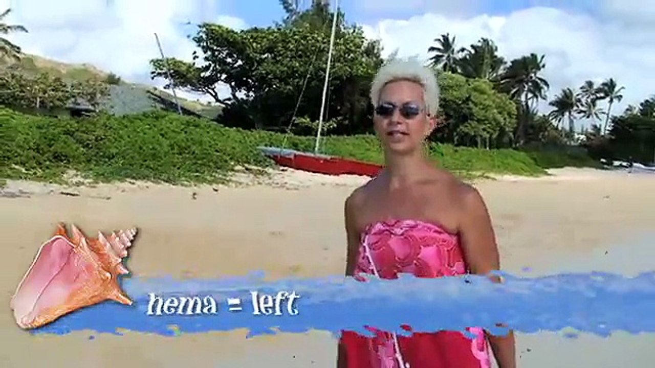 Beach Walk 656 - Right Brain Bliss