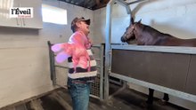 Pascal, le cow-boy inséminateur de l'Eure