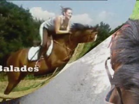 Ecuries Ibériques de Valhermeil