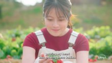 Amor Doce Amor Trailer Original