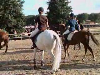 Suite remise des prix cso