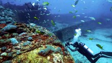 OLHAR SUBMERSO - NAUFRÁGIOS DE PERNAMBUCO - EP 03   PORTO PONTA DE PEDRAS