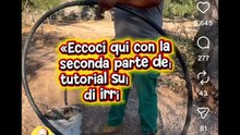 Michele monopoli si irroga le olive