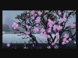 Nancy ajram - resala