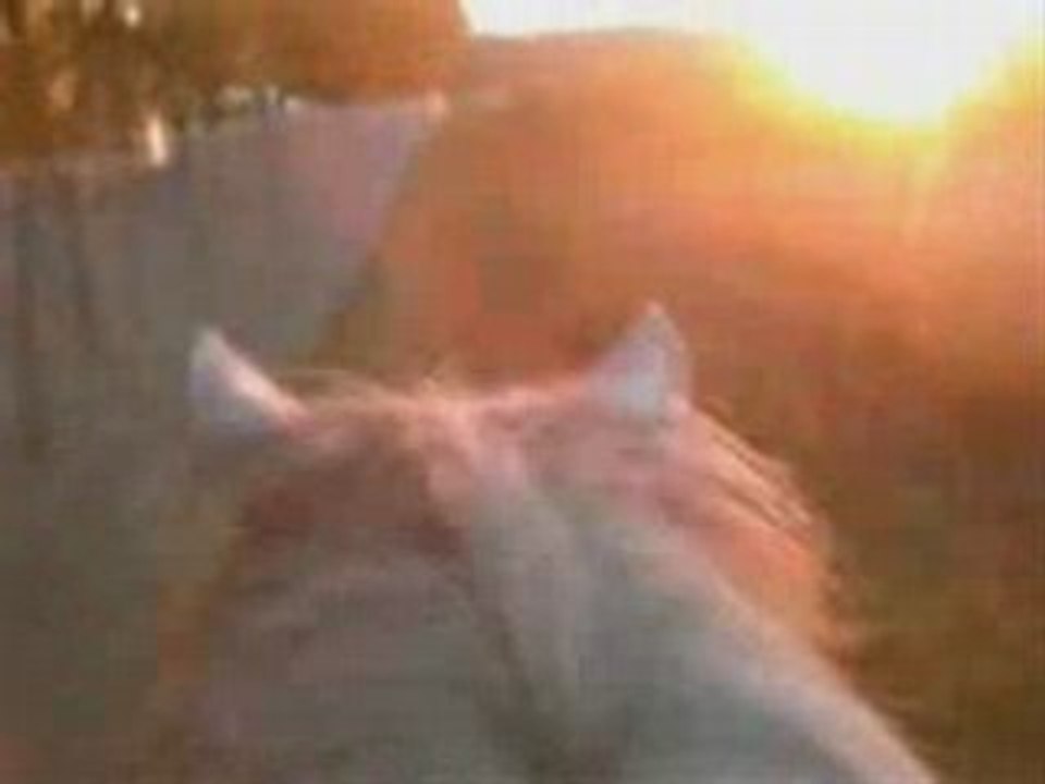 Journée poney =)