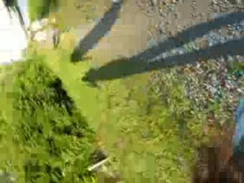 Chez Elodie 25 Juin O7 042