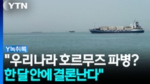 "우리나라 호르무즈 파병? 한 달 안에 결론난다" [Y녹취록] / YTN
