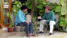 Watch Dilli Walay Dularay Babu Episode 12 on Ary Digital in High Quality 5th November 2016 [Full Movie]