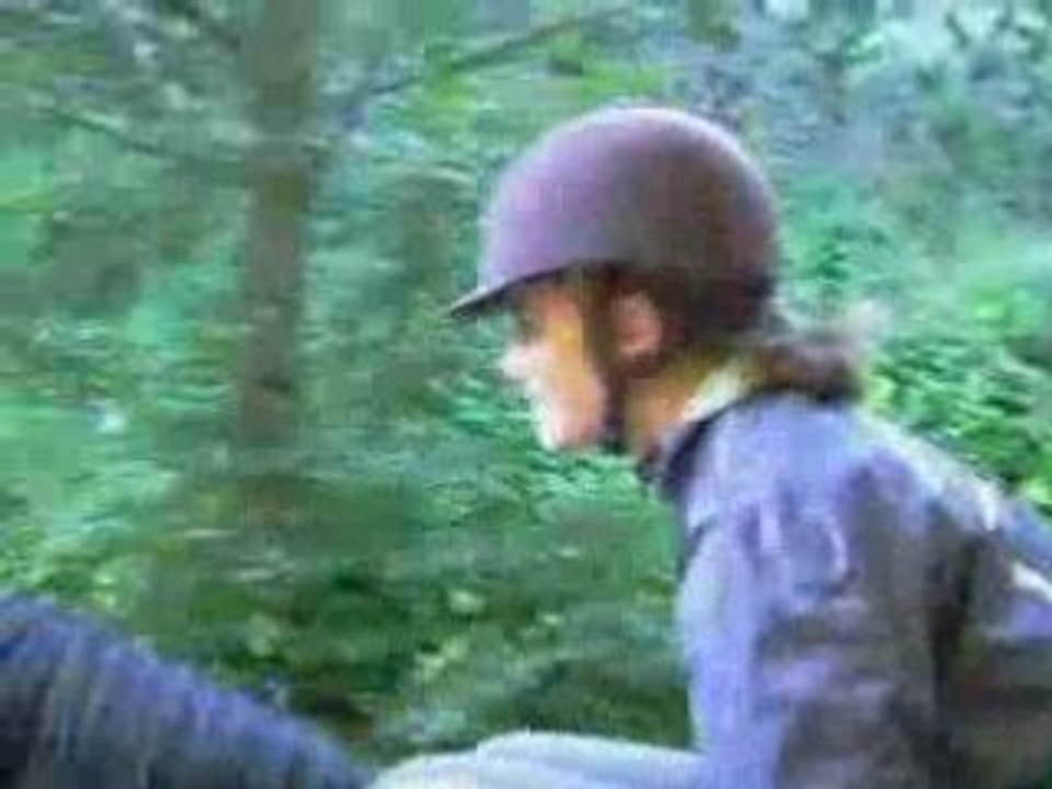 Armoise [Vidéos]