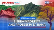 Bakit mahalaga ang Sierra Madre at nature-based solutions laban sa baha? | GMA News Feed