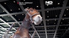 Η έκθεση «Night» του Μαουρίτσιο Κατελάν εγκαινιάζεται στο Βερολίνο