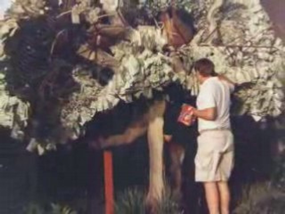 Animatronic Talking Money Tree