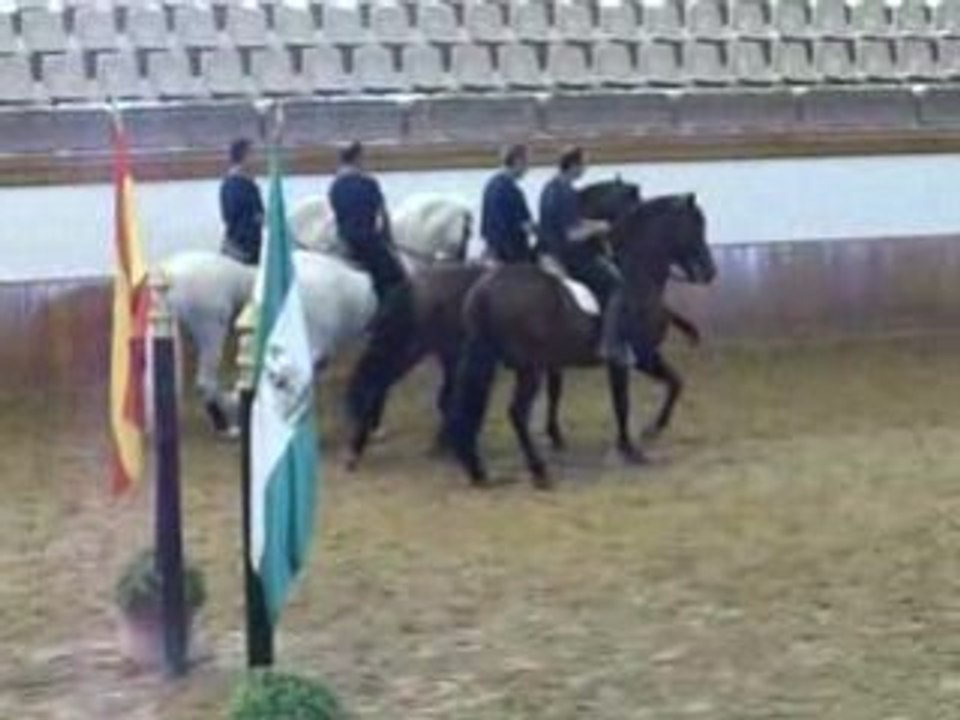 pas espagnol FREEAE
