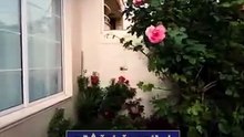 خانووی فراوان لە گەڕەکی عدالە