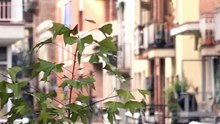 UE ogranicza najem typu Airbnb, by zwiększyć najem długoterminowy