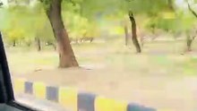 Beautiful vlog